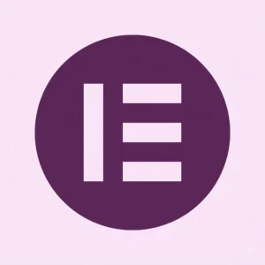 Plugins Elementor Pro 4.2.1